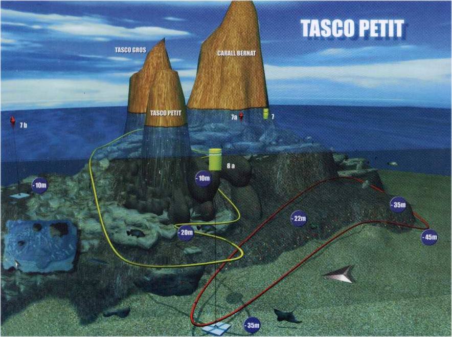 duiken Medes eilanden tasco-petit