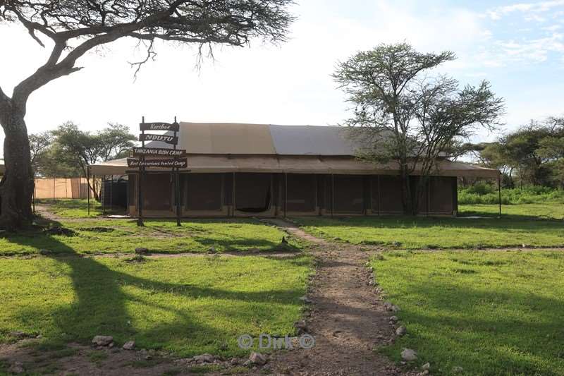 bush mobile camp tanzania