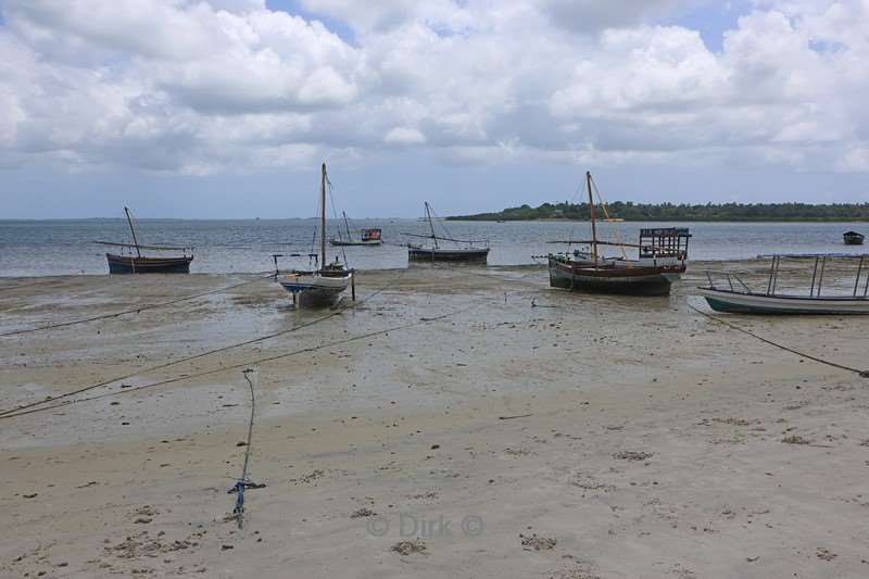 duikschool hotel big blu mafia island tanzania