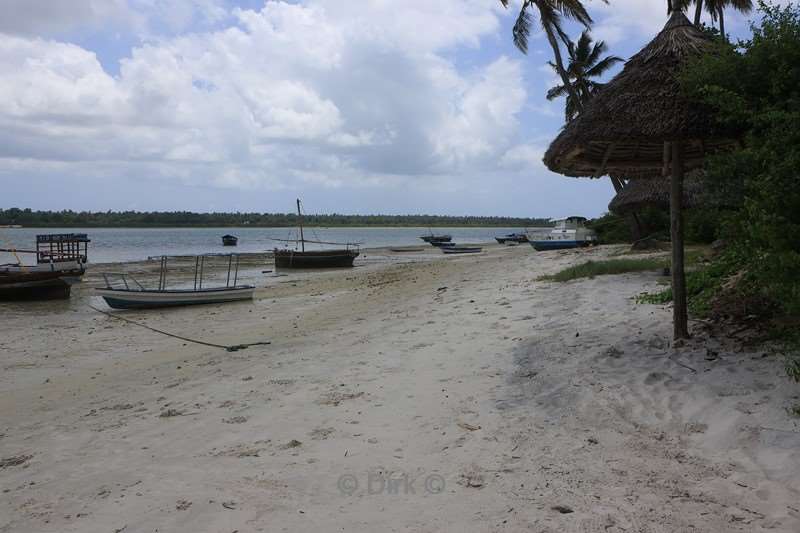 duikschool hotel big blu mafia island tanzania