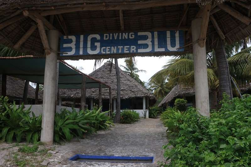 duikschool hotel big blu mafia island tanzania