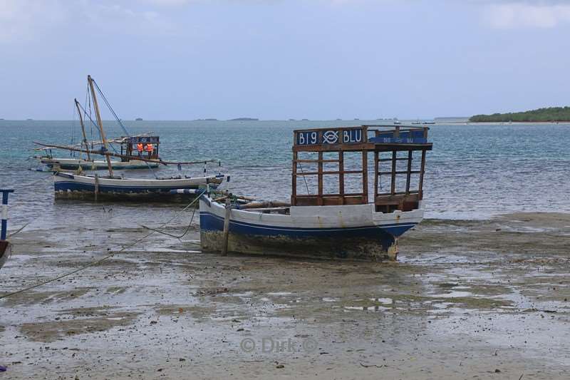 duikschool hotel big blu mafia island tanzania