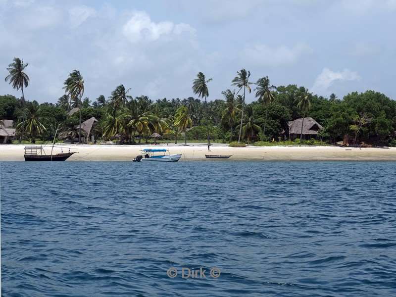 duikschool hotel big blu mafia island tanzania