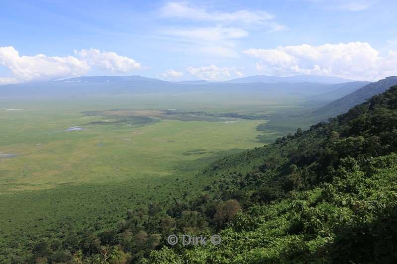 safari ndutu tanzania