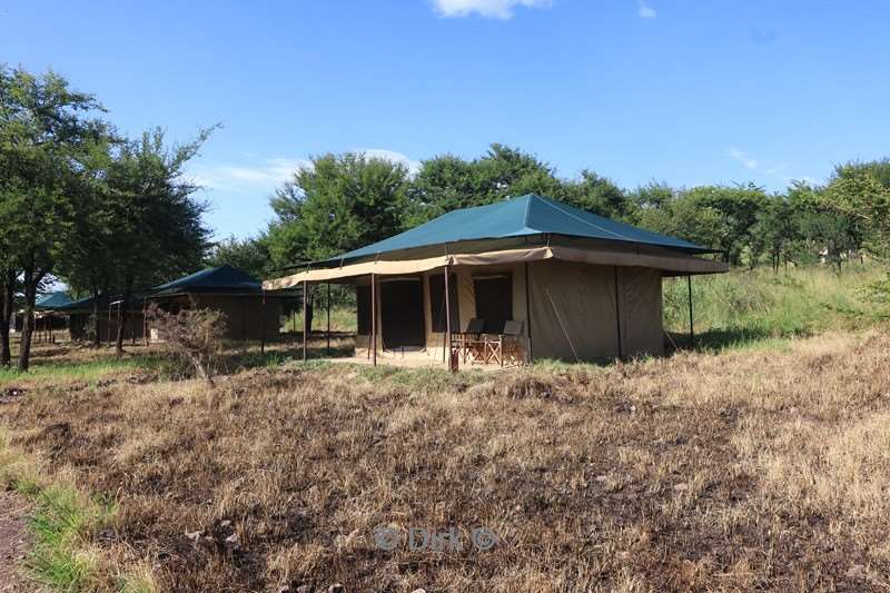 tukaone serengeti camp tanzania