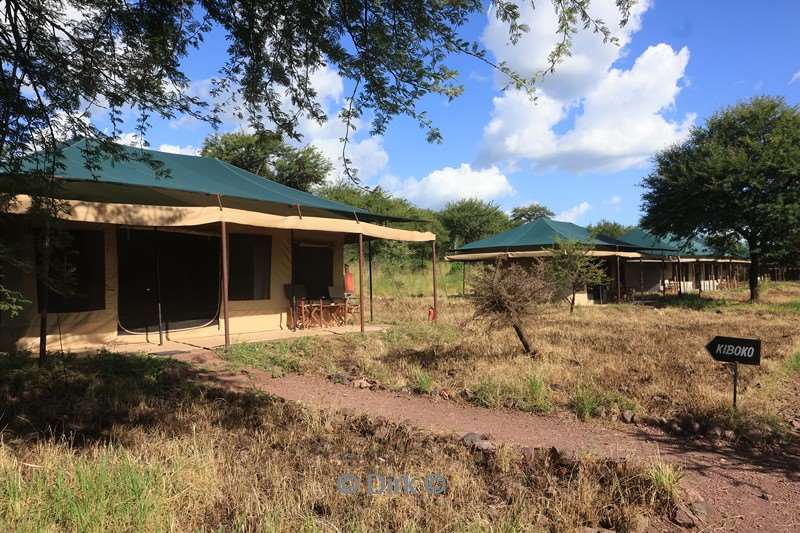 tukaone serengeti camp tanzania