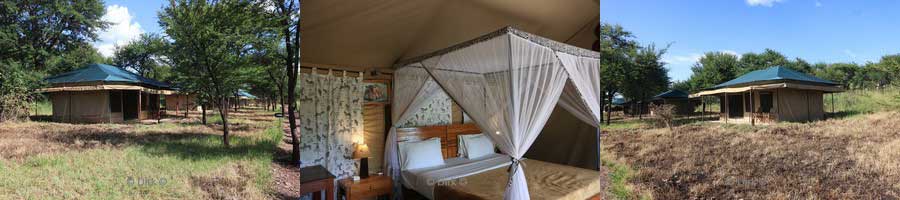 tanzania tukaone serengeti camp