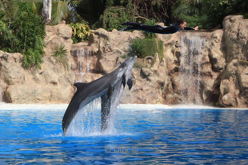 dierentuin loro parque puerto de la cruz tenerife