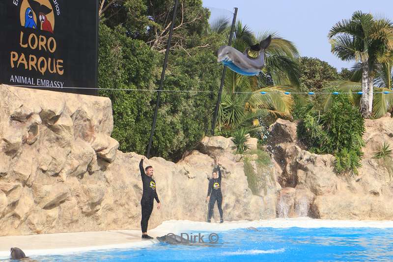 dierentuin loro parque puerto de la cruz tenerife