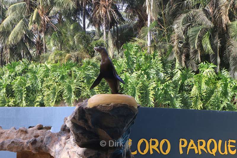 dierentuin loro parque puerto de la cruz tenerife