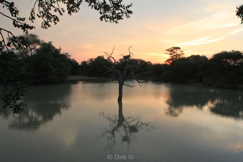 zuid-afrika kapama park zonsondergang