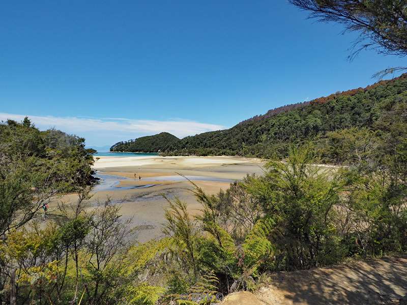 nieuw-zeeland abel tasman national park